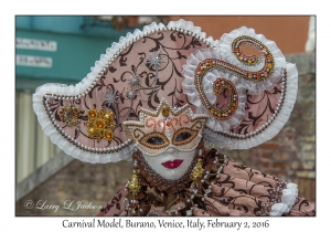 Carnival Model