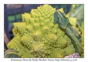 Romanesco Broccoli