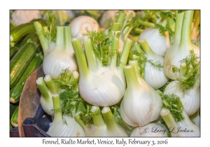 Fennel