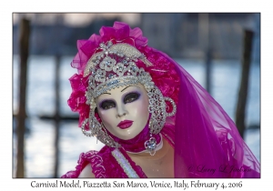 Carnival Model