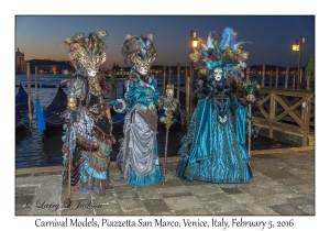 Carnival Models