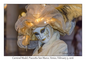 Carnival Model