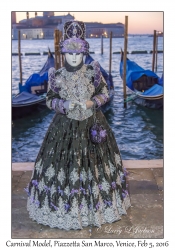 Carnival Model
