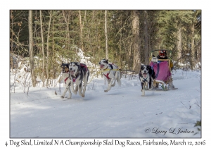 4 Dog Sled