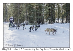 6 Dog Sled