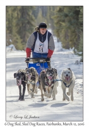 6 Dog Sled