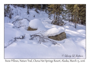 Snow Pillows