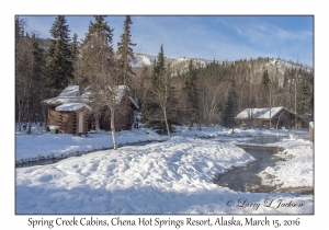 Spring Creek Cabins