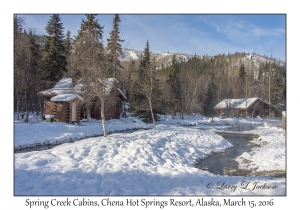 Spring Creek Cabins