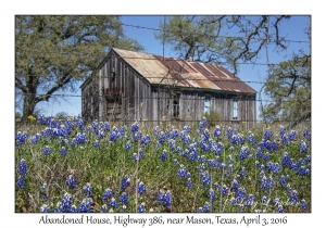 Abandoned House