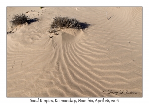 Sand Ripples