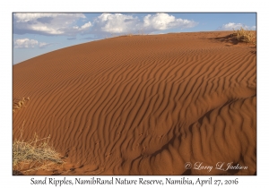 Sand Ripples