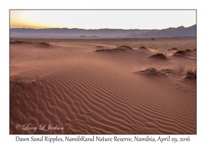 Sand Ripples at Sunrise