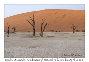 Deadvlei