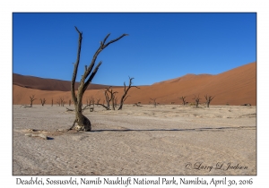 Deadvlei