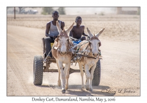 Donkey Cart