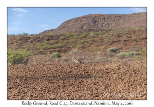 Rocky Ground