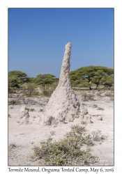 Termite Mound