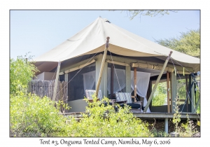 Tent #3