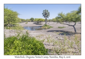 Waterhole