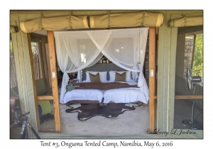 Tent #3