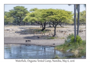 Waterhole