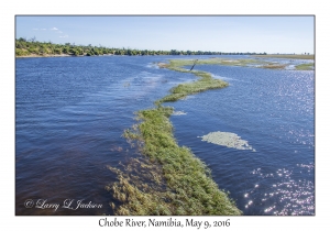 Chobe River