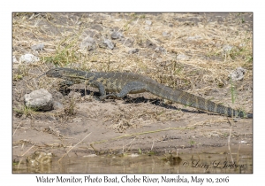 Water Monitor