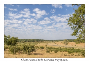 Chobe National Park