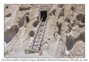 Cave Kiva Ladder