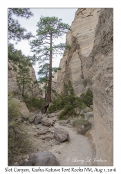 Slot Canyon Trail