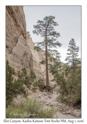 Slot Canyon Trail