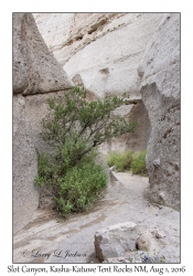 Slot Canyon Trail