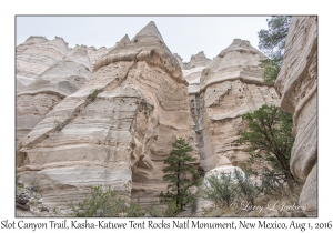 Slot Canyon Trail