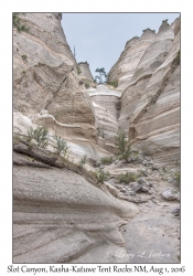 Slot Canyon Trail