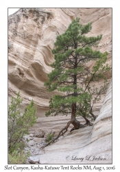 Slot Canyon Trail