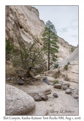 Slot Canyon Trail