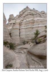 Slot Canyon Trail