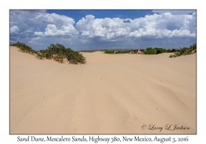 Sand Dune