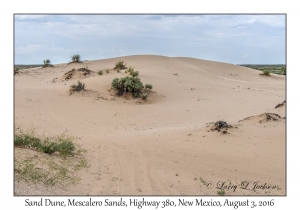 Sand Dune