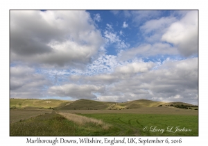 Marlborough Downs