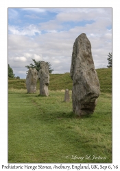 Prehistoric Henge Stones