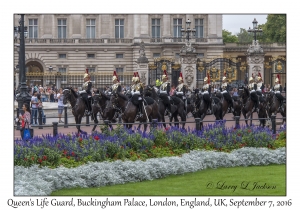 Queen's Life Guard