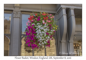 Flower Basket