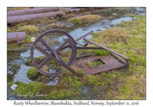 Rusty Wheelbarrow