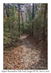 Upper Bearwallow Falls Trail