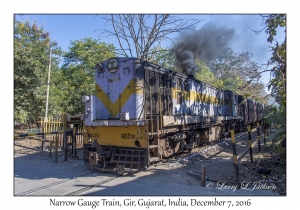 Narrow Gauge Train