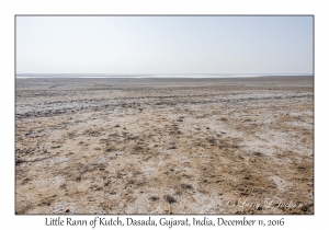 Little Rann of Kutch