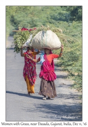 Women with Grass