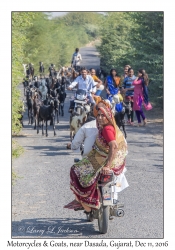 Motorcycles & Goats